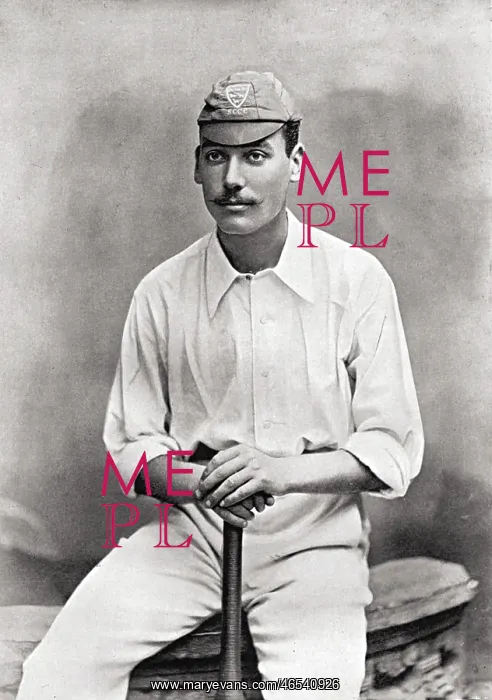: CRICKETER, TATE : CRICKETER, TATE