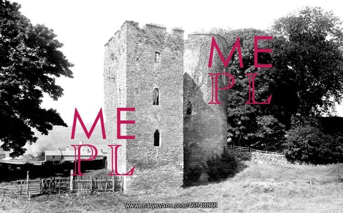  : Crickhowell, the Castle 1893