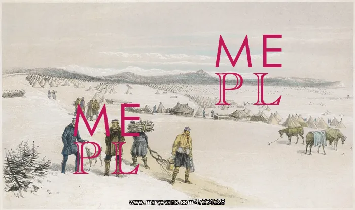  : CRIMEA / CAMP / 2ND DIVISION