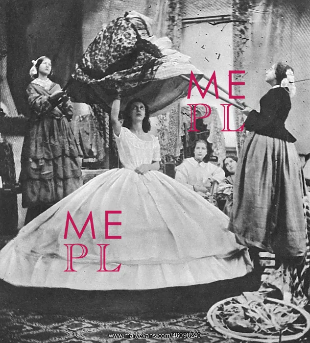 : Crinoline Difficulties 1860s : Crinoline Difficulties 1860s