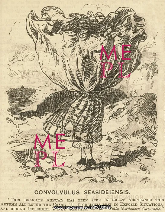 : Crinoline in High Wind : Crinoline in High Wind