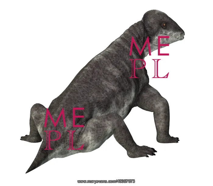 : Criocephalosaurus dinosaur, rear view on white background : Criocephalosaurus dinosaur, rear view on white background