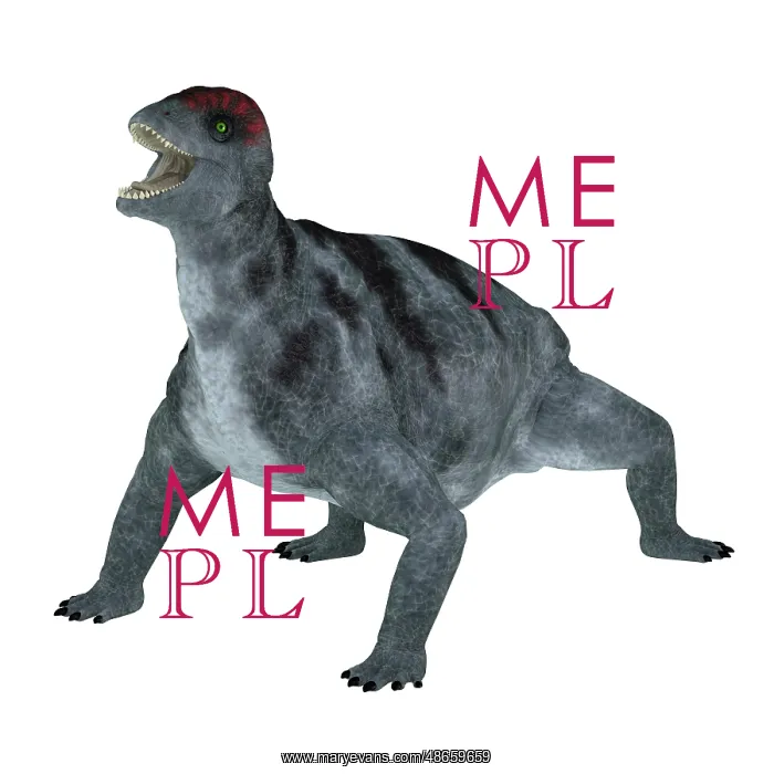 : Criocephalosaurus prehistoric animal : Criocephalosaurus prehistoric animal