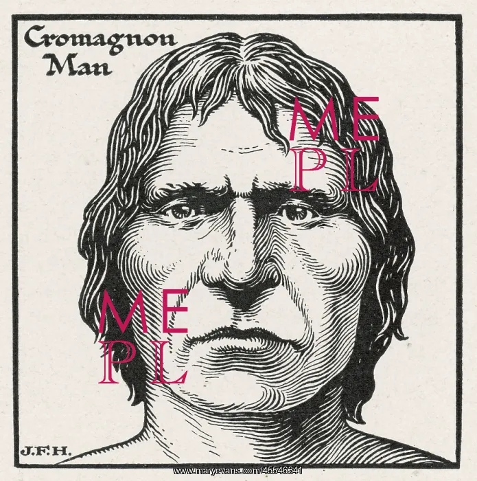  : Cro-Magnon - Homo Sapiens