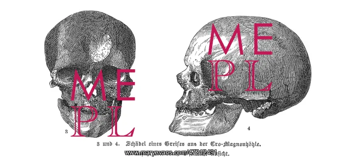  : CRO-MAGNON MAN SKULLS