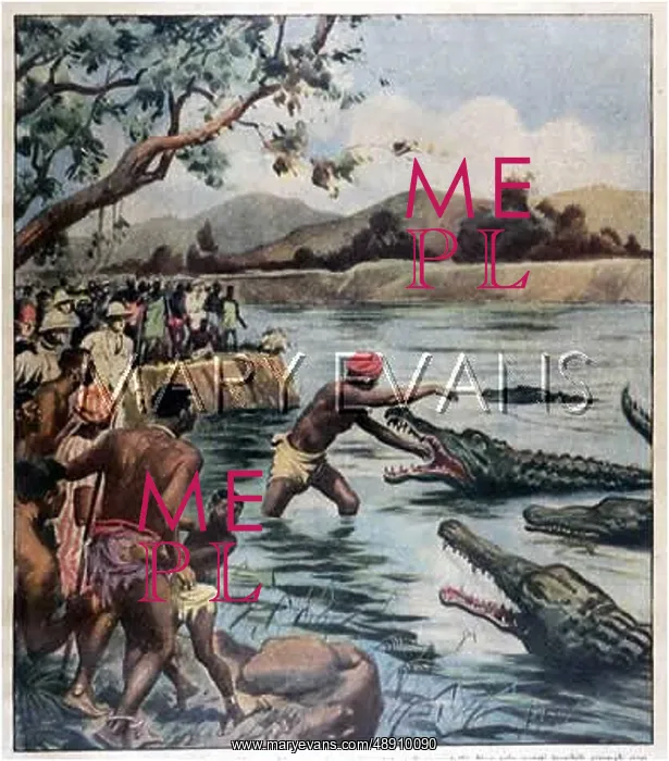 : CROCODILE CHARMER : CROCODILE CHARMER