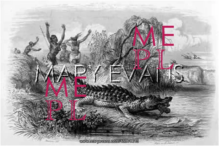 : CROCODILE EATS CHILD : CROCODILE EATS CHILD