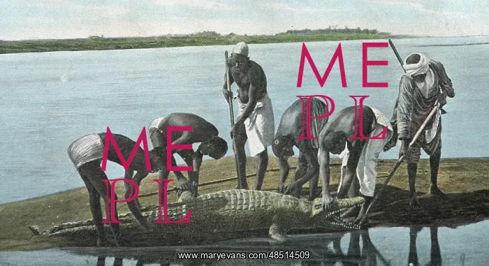  : Crocodile Hunt on the River Nile, Sudan