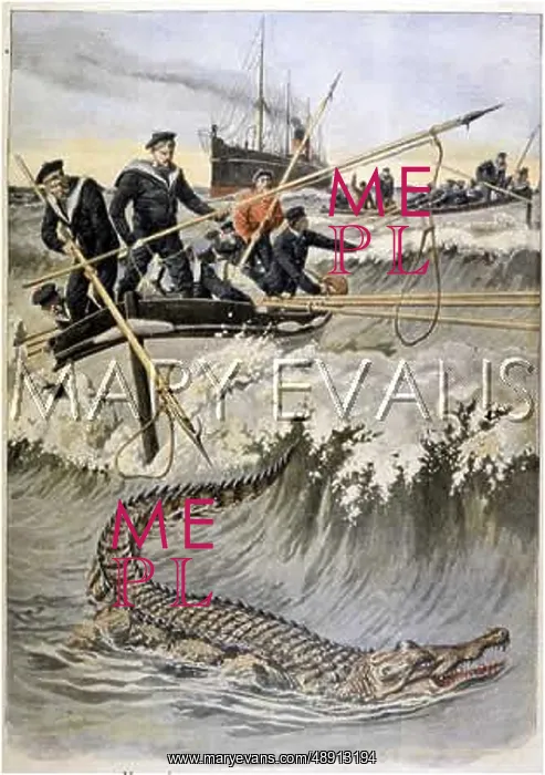 : CROCODILE HUNTED / 1908 : CROCODILE HUNTED / 1908