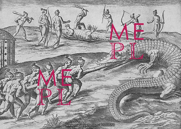 : Crocodile Hunting - De Bry : Crocodile Hunting - De Bry