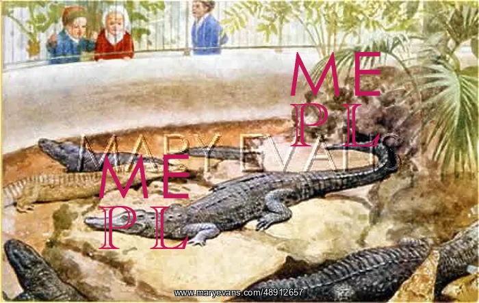 : CROCODILES & ALLIGATORS : CROCODILES & ALLIGATORS