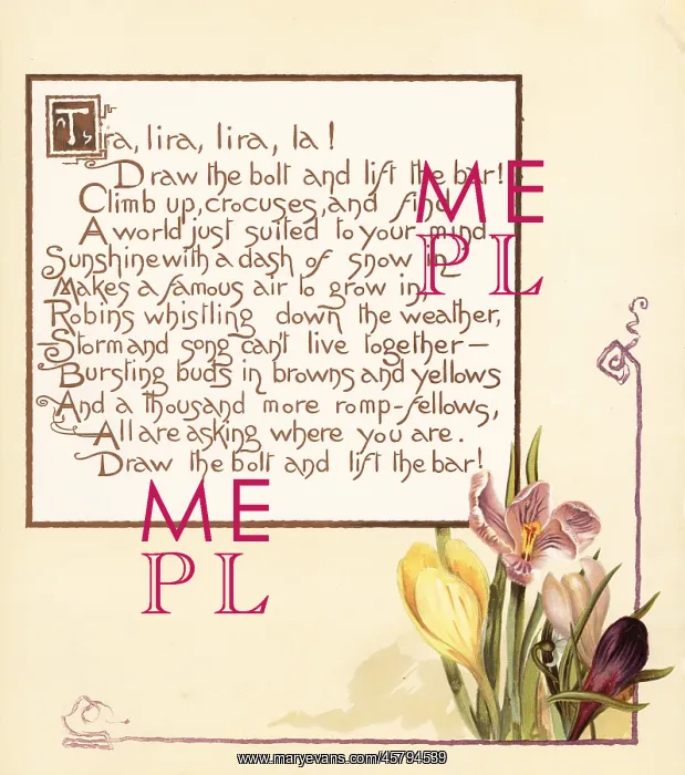 : Crocus flowers, Crocus sativus, and calligraphic poem : Crocus flowers, Crocus sativus, and calligraphic poem