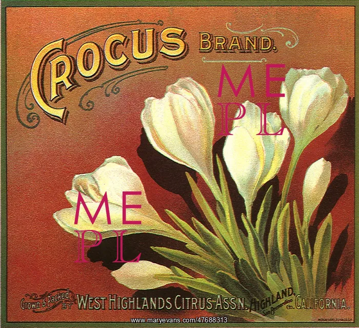  : Crocus Fruit Label