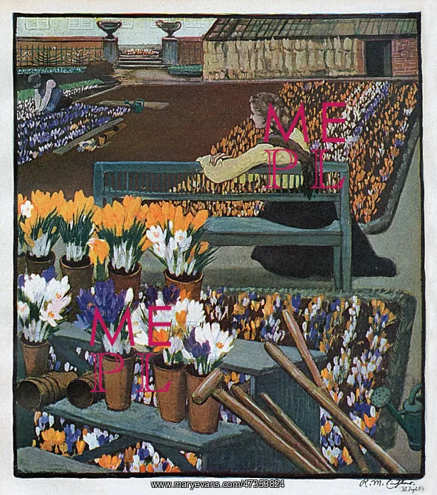 : CROCUS GARDEN 1904 : CROCUS GARDEN 1904