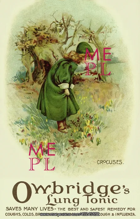 : Crocuses. Owbridge's lung tonic advertising : Crocuses. Owbridge's lung tonic advertising
