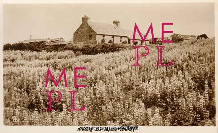 : Crofters Cottage, Orkney : Crofters Cottage, Orkney