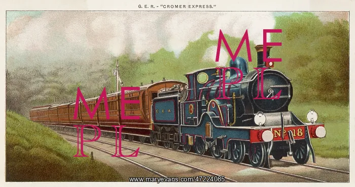 : THE CROMER EXPRESS : THE CROMER EXPRESS