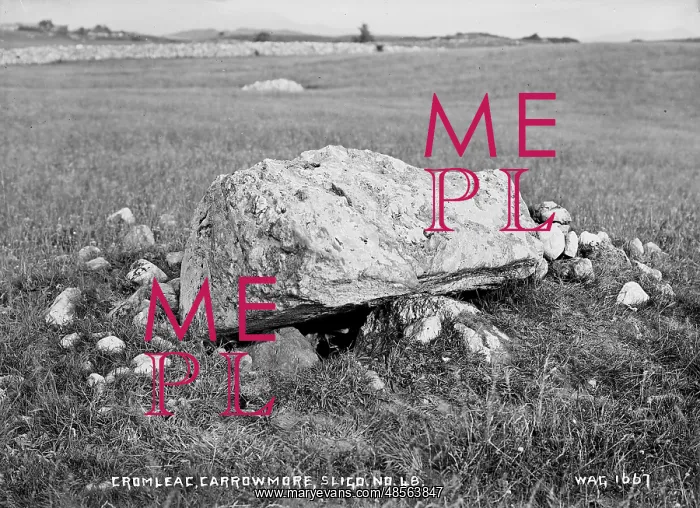 : Cromlech, Carrowmore, Sligo.No.48 : Cromlech, Carrowmore, Sligo.No.48