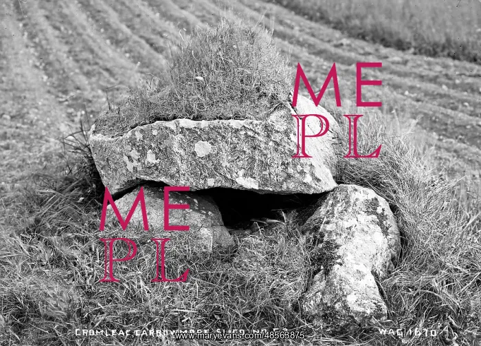 : Cromlech, Carrowmore, Sligo.No.53 : Cromlech, Carrowmore, Sligo.No.53