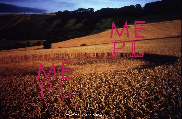  : CROP CIRCLE 1987