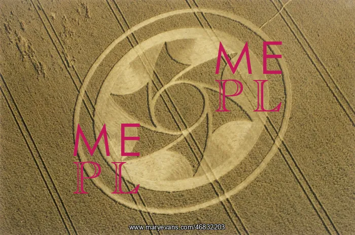 : Crop circle : Crop circle