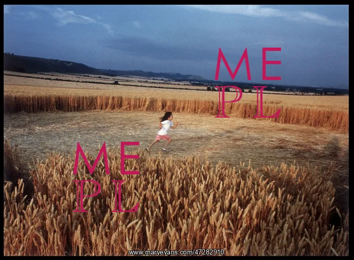 : CROP CIRCLE ALTON BARNES : CROP CIRCLE ALTON BARNES