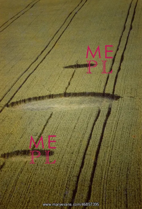 : Crop circles, part of a Quintuplet : Crop circles, part of a Quintuplet