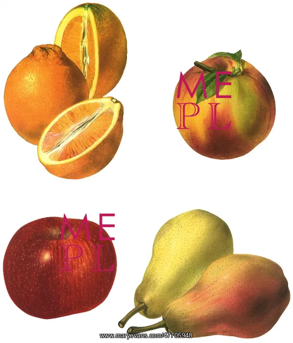 : Crop of Fresh Fruits