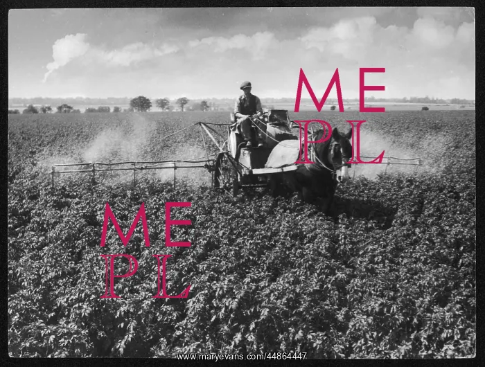 : CROP-SPRAYING POTATOES : CROP-SPRAYING POTATOES