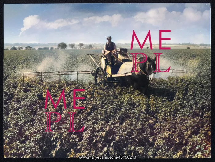 : CROP-SPRAYING POTATOES : CROP-SPRAYING POTATOES