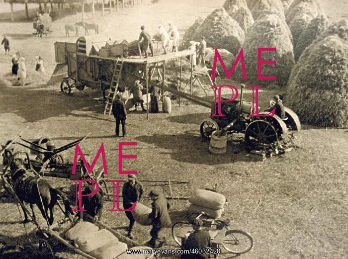 : Crop threshing in the kolkhoz : Crop threshing in the kolkhoz