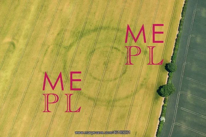 : Cropmarks - Neolithic henge and enclosures - Paddock Hill : Cropmarks - Neolithic henge and enclosures - Paddock Hill