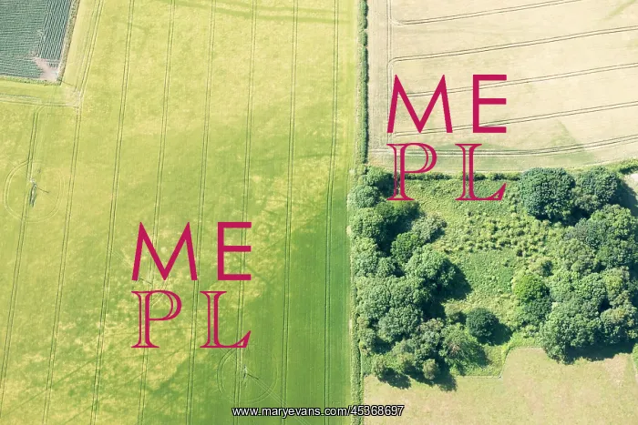 : The cropmarks of four squares indicate the distinctive : The cropmarks of four squares indicate the distinctive