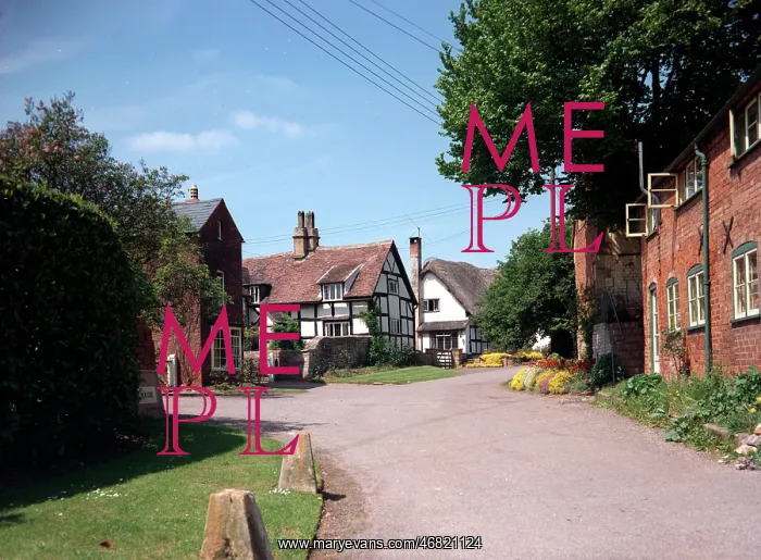 : Cropthorne - Thatched cottages : Cropthorne - Thatched cottages