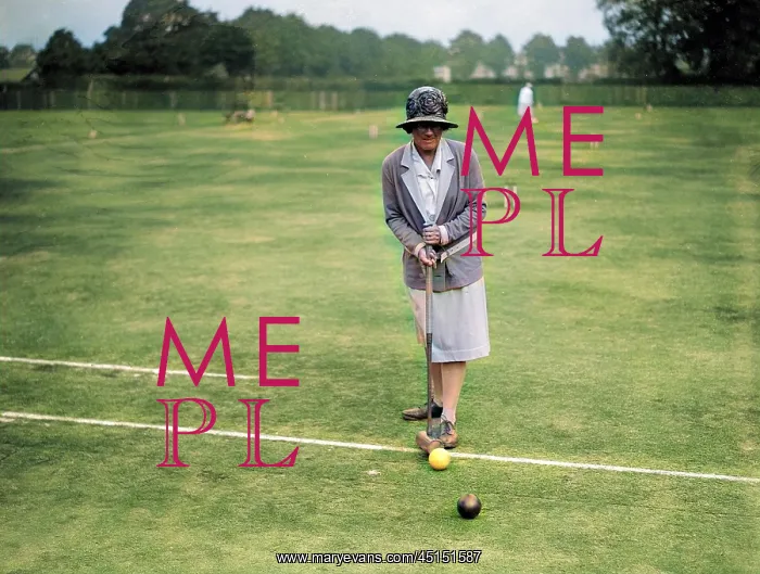 : CROQUET / D.D. STEELE : CROQUET / D.D. STEELE
