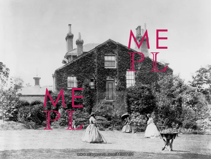 : Croquet on the Lawn : Croquet on the Lawn