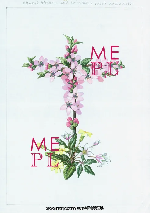  : Cross of Almond Blossom