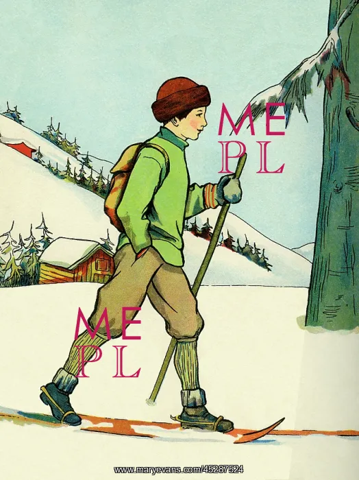 : Cross-country skier : Cross-country skier