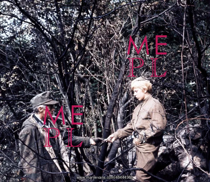 : CROSS OF IRON : CROSS OF IRON