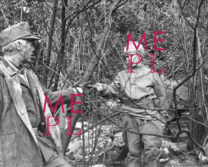 : CROSS OF IRON : CROSS OF IRON