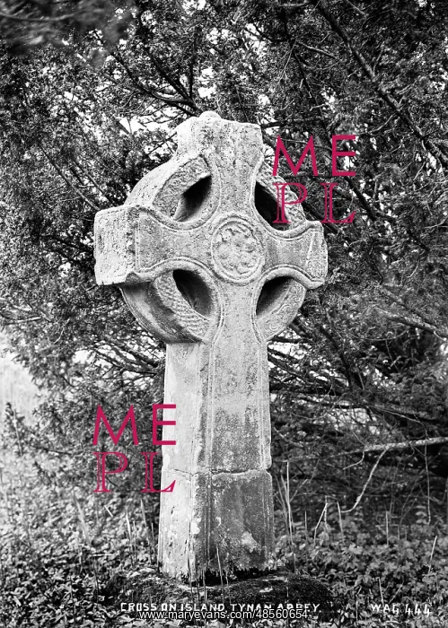 : Cross on Island, Tynan Abbey : Cross on Island, Tynan Abbey