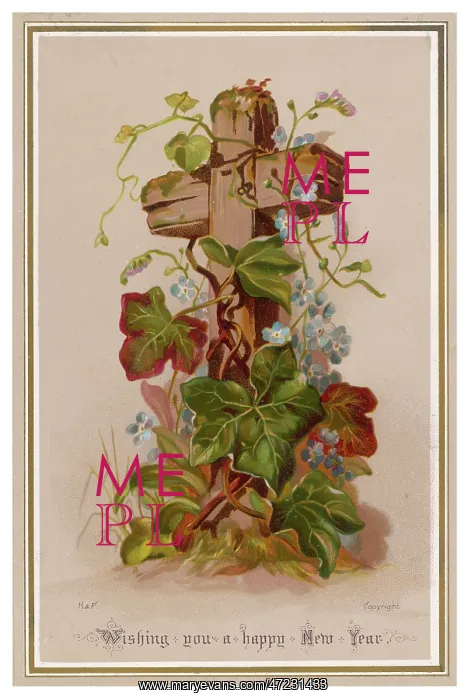  : CROSS WITH IVY