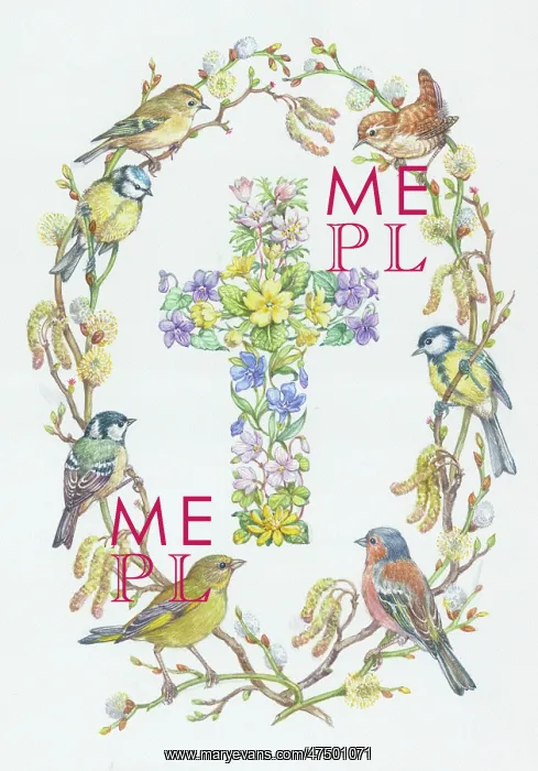: Cross of Primroses and violets etc with birds : Cross of Primroses and violets etc with birds