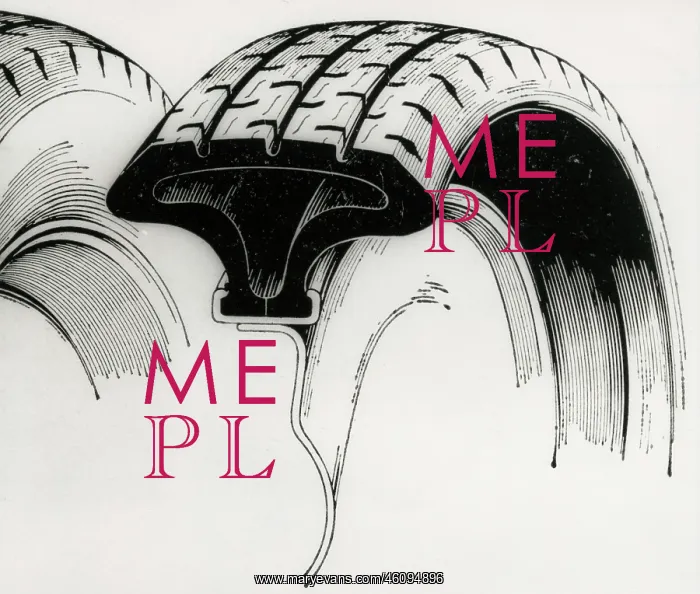  : Cross section diagram of Pirelli DIP car tyre