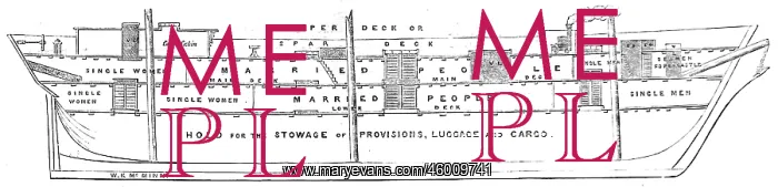 : Cross-Section of the Emigrant Ship Bourneuf, 1852 : Cross-Section of the Emigrant Ship Bourneuf, 1852