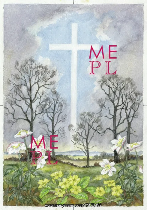 : Cross in the sky ' with flowers & trees : Cross in the sky ' with flowers & trees