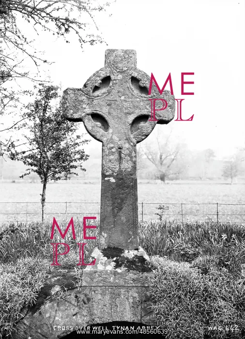 : Cross Over Well, Tynan Abbey : Cross Over Well, Tynan Abbey