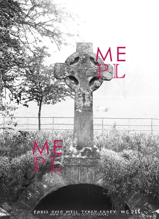 : Cross Over Well, Tynan Abbey : Cross Over Well, Tynan Abbey