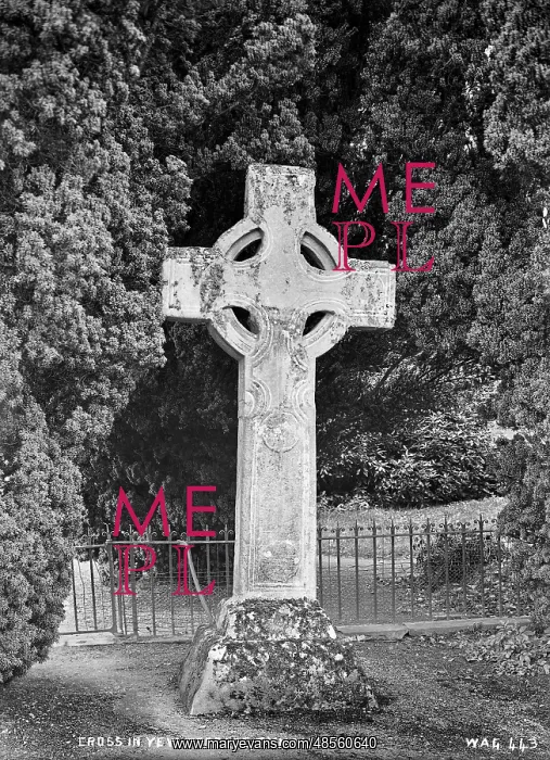 : Cross in Yew Terrace, Tynan Abbey : Cross in Yew Terrace, Tynan Abbey