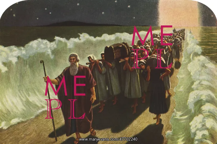 : Crossing the Red Sea : Crossing the Red Sea